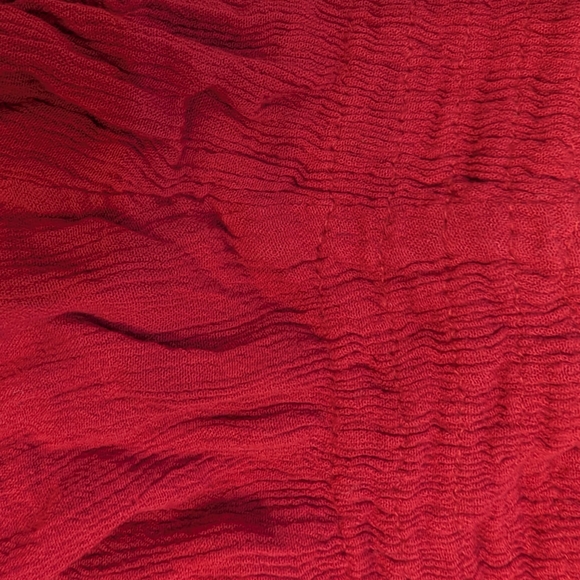 Intimately Free People Scarlet Ruffled Shorts - Picture 2 of 5